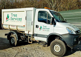 The truck says it all, Tree Surgery, Hedge Trimming and Logs.
